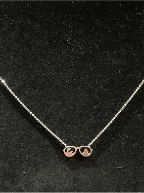 Eyeglass charm necklace